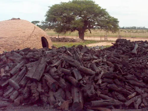 Horno de carbón de quebracho en Santiago del Estero, Argentina